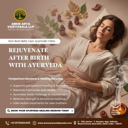 dream design studio portfolio (6)